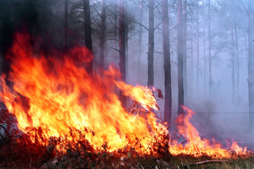 Экстренное предупреждение по пожароопасности объявлено на Кубани