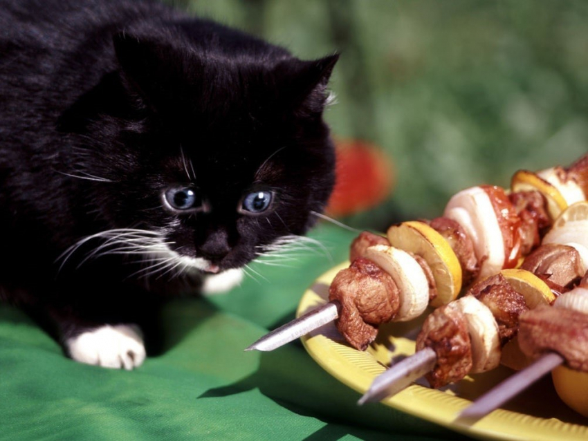 «Погода подходящая»: последний день месяца будет теплым на Кубани 