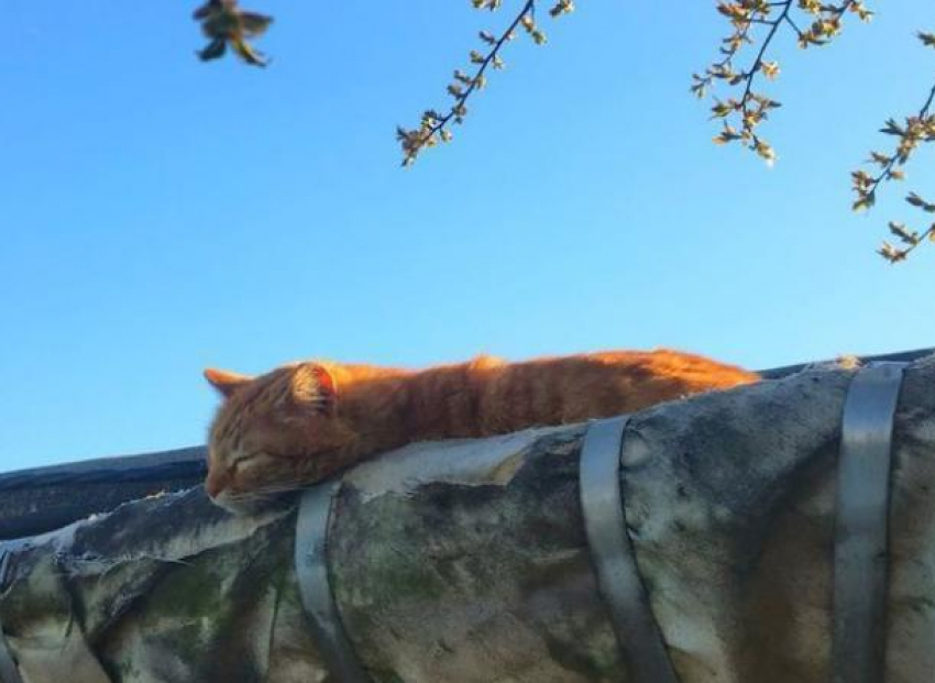 «Балдеть под солнцем» предлагает жителям Кубани пятничная погода