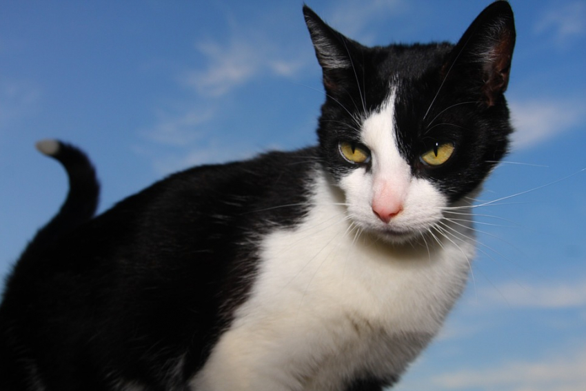 На Кубани снова обещают дожди 