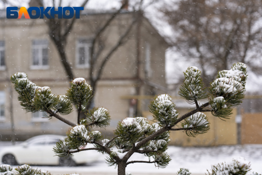 Погода на 14 февраля в Краснодаре