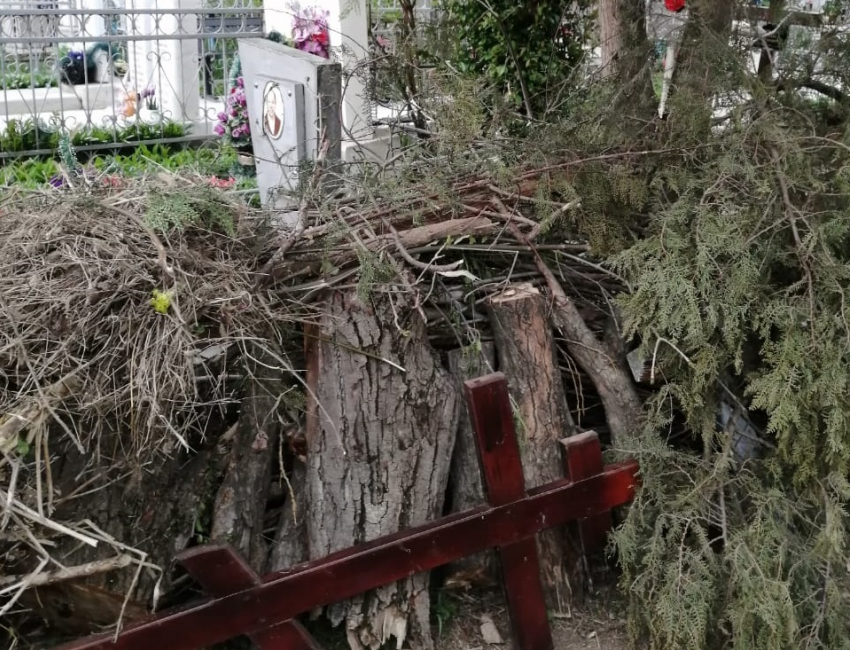 «На могилах ветерана лежат ветки и пни»: как Пашковское кладбище превратили в свалку Краснодара