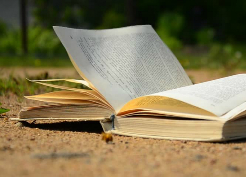 Бесплатные учебники оставили на земле в краснодарском парке