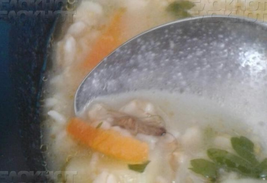 В Новороссийске пациенты «инфекционки» вылавливают тараканов из супа