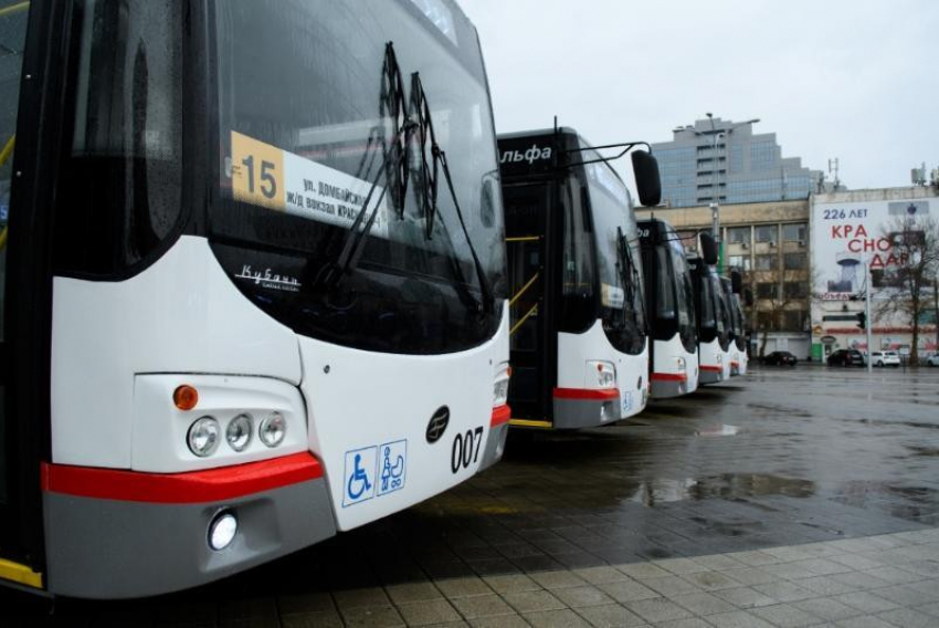 Власти Краснодара рассказали, куда поедут новые электробусы