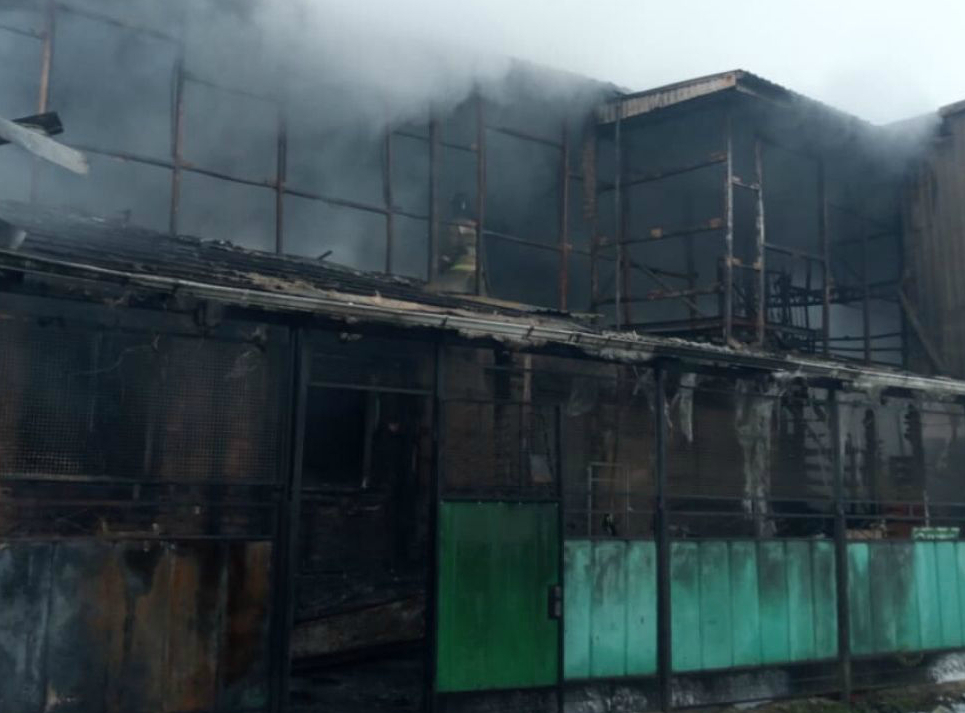 При пожаре на стройбазе в Апшеронске пострадал человек