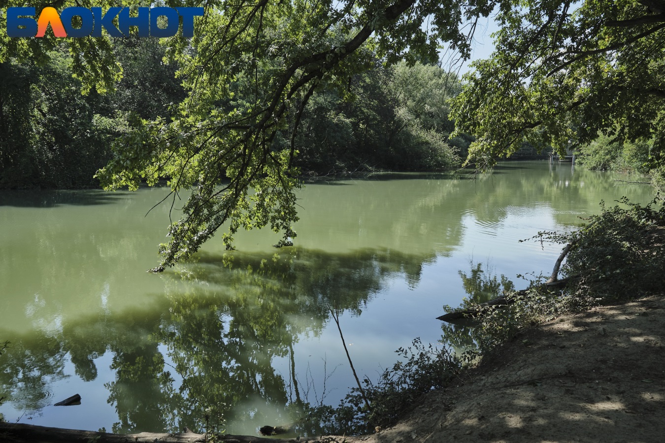 Дымчатые горы, кристальная вода и девственная красота: 5 живописных озер  Краснодарского края