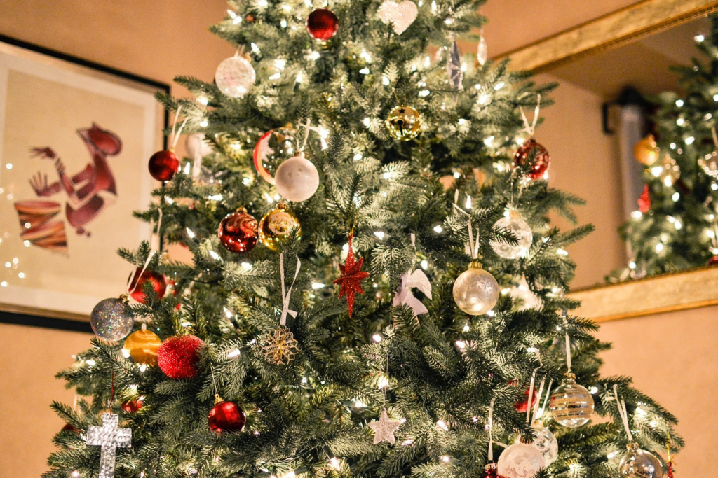tree-decoration-christmas-decor-christmas-tree-ornament-117006-pxhere.com.jpg