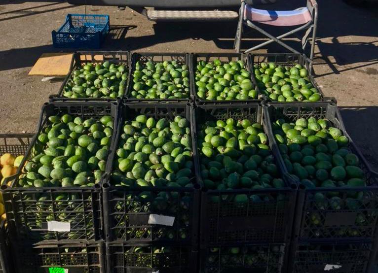 WhatsApp Image 2021-10-29 at 13.33.45.jpeg