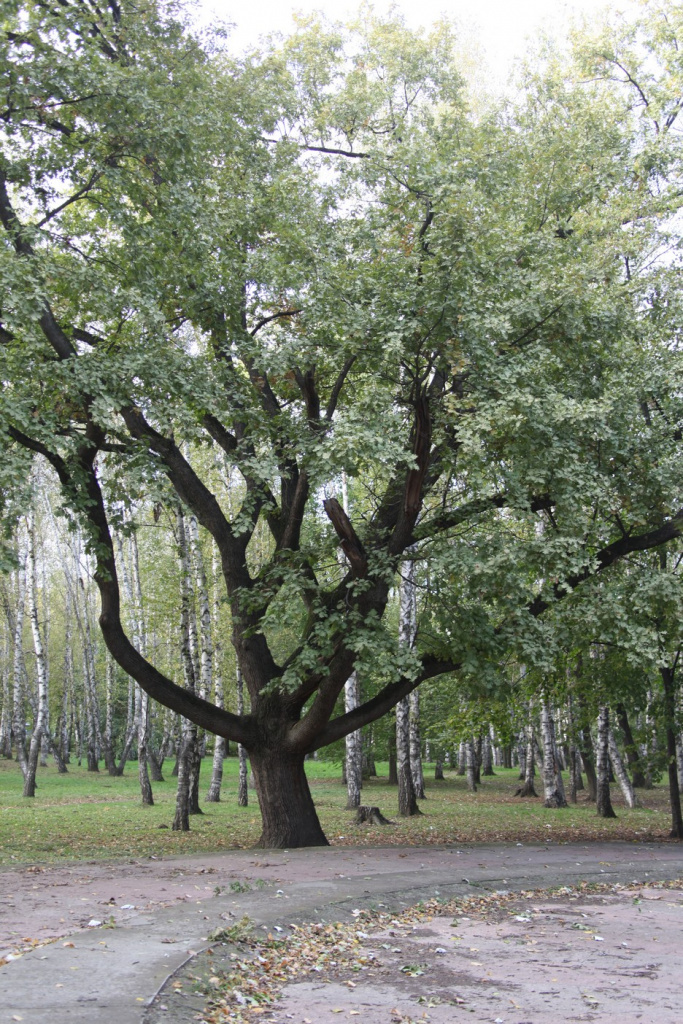 Блокнот Краснодар А.М._81.jpg